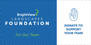Brightview Banner - Foundation